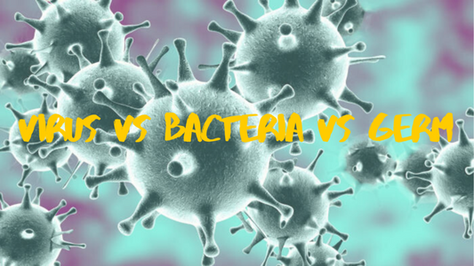 differences between virus bacteria germ