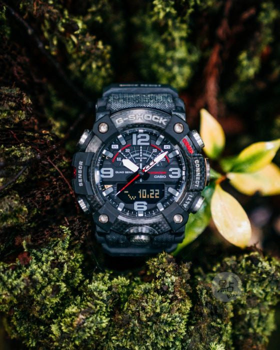 GG-B100-1AER nature