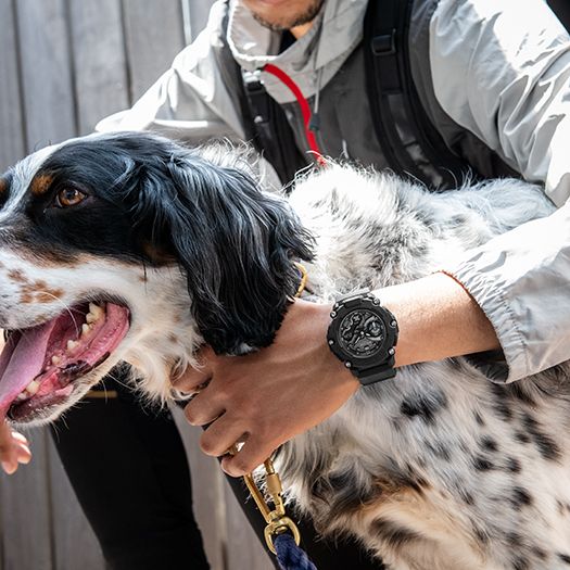 GA-2200BB-1AER dog